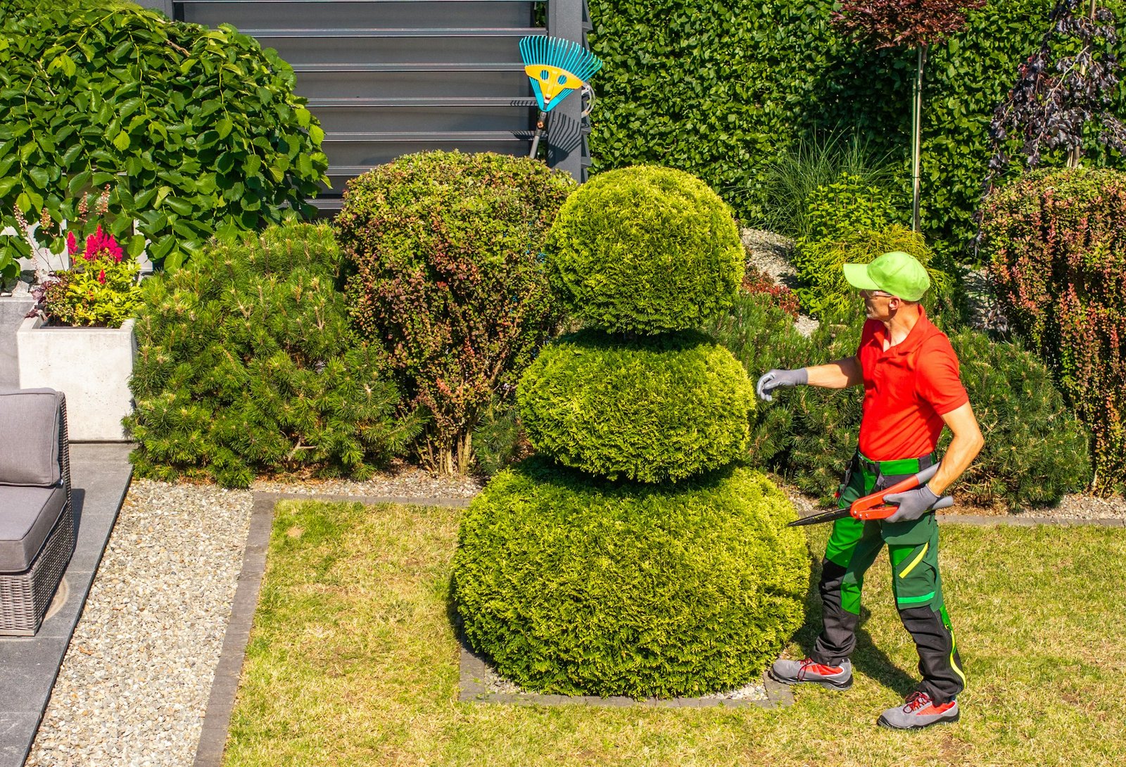 Gardener Trimming a Three-Tiered Bush in a Backyard