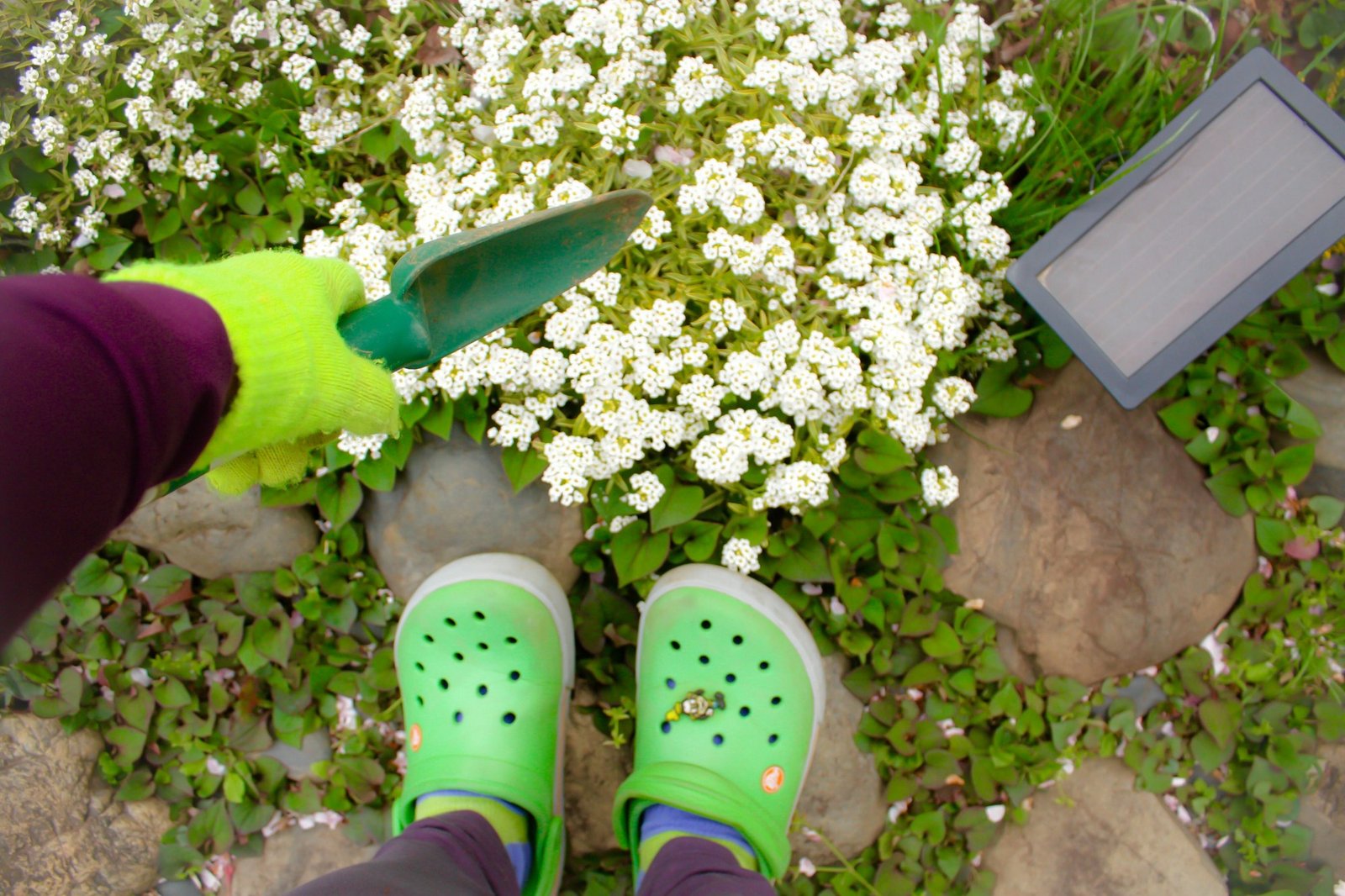 Gardening view from above