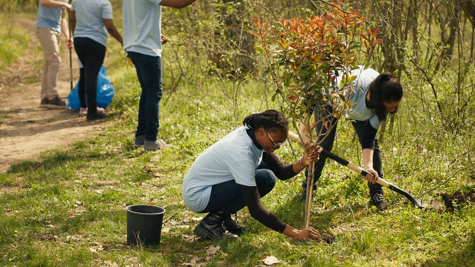 Team of climate change activists doing voluntary work to plant trees